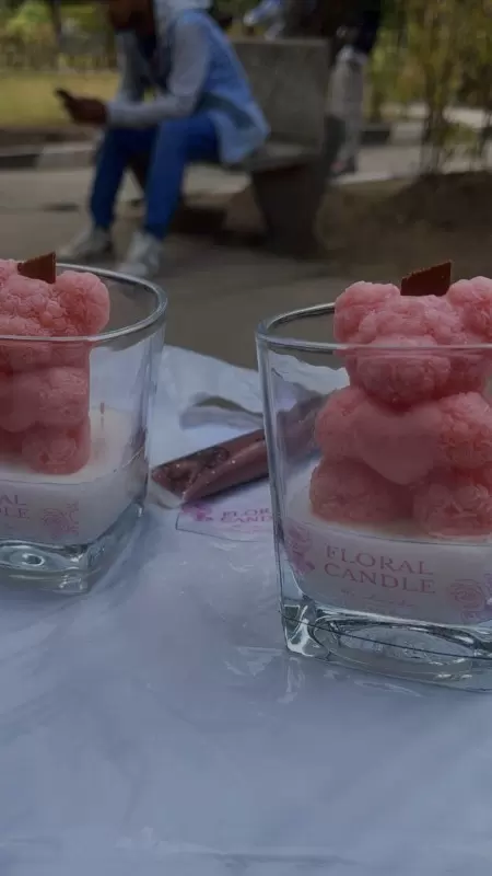 Vanilla scented Bear soy wax