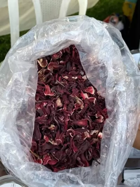 Hibiscus